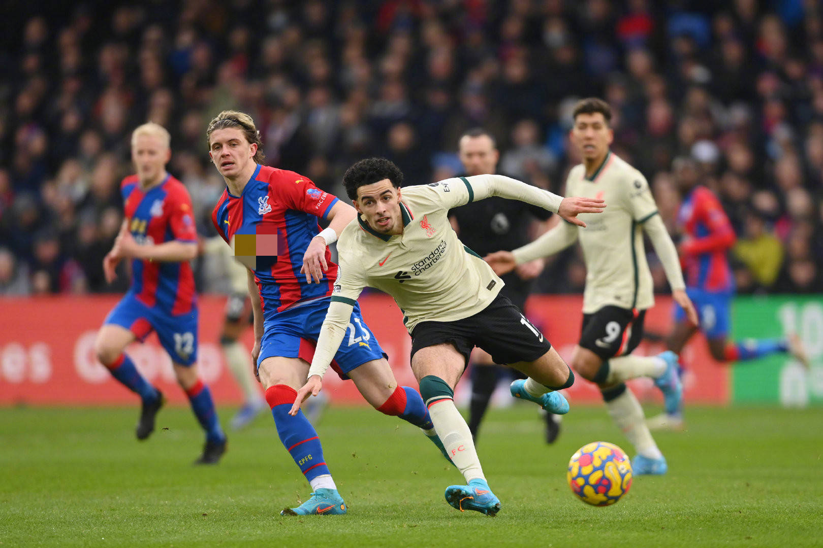 他们的加盟 他们的加盟